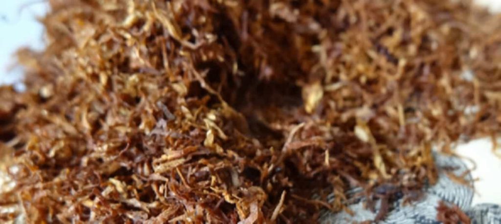 Close-up of cut rag tobacco blend